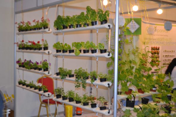 Hydroponics Systems For Home School Office Restaurants