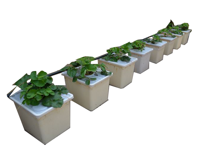 Dronii Dutch Bucket System Garden/Rooftops/Farms Hydroponics