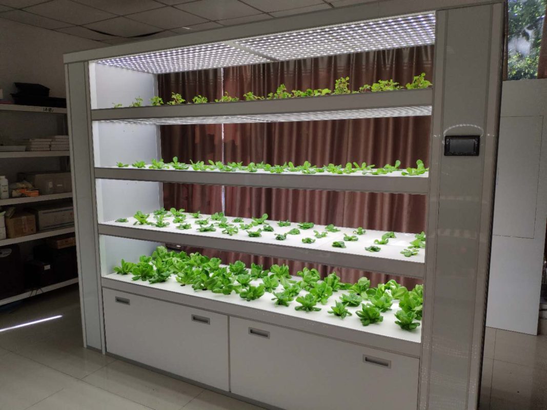 free download hydroponic farming at home
