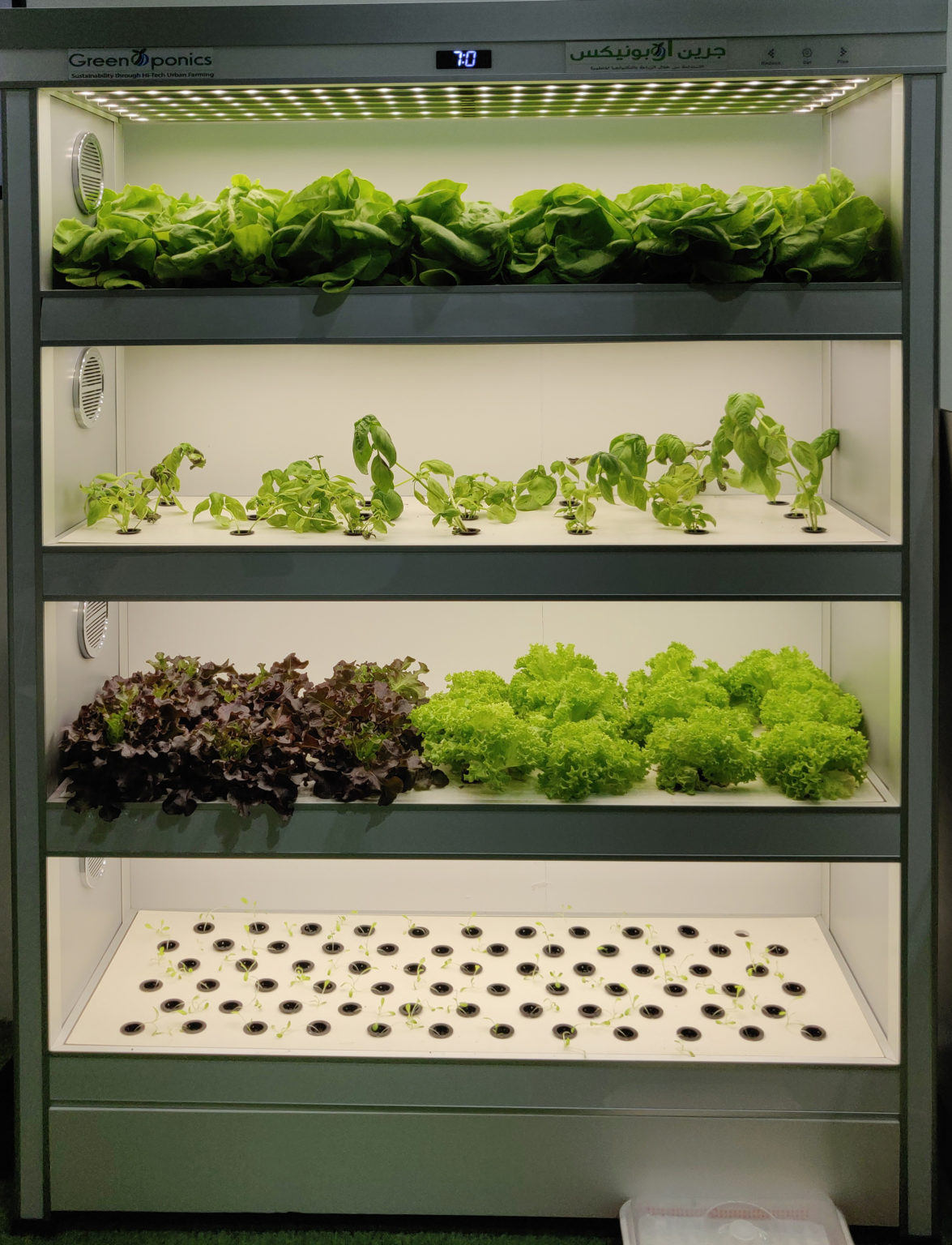 Indoor hydroponic farm Almirah M Hydroponics Systems for Home, School, Office & Restaurants