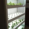 mini indoor vertical farm