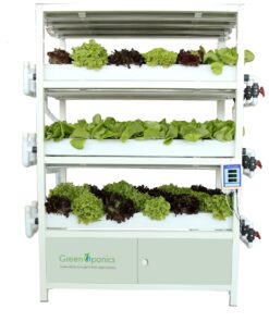 commercial-Indoor-vertical-farming-system UAE