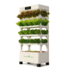 Hydroponic Smart Planter